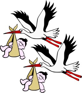 storks
