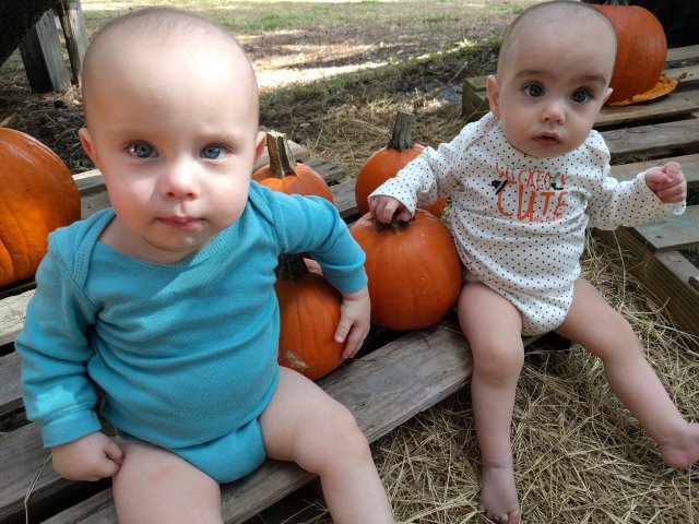 44667466_10114163509989261_7578765180167782400_o